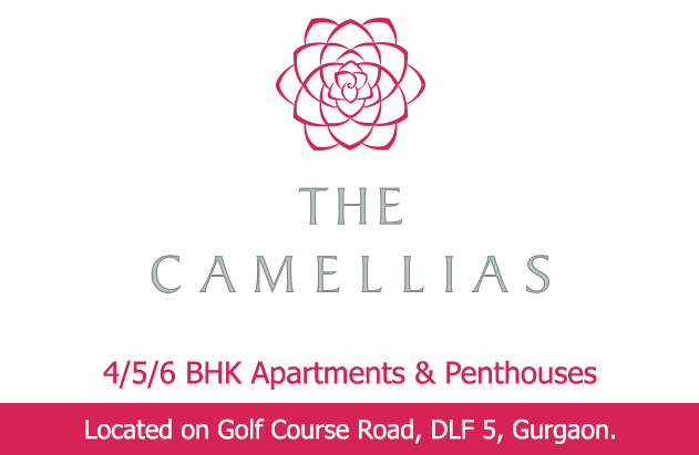 DLF Camellias